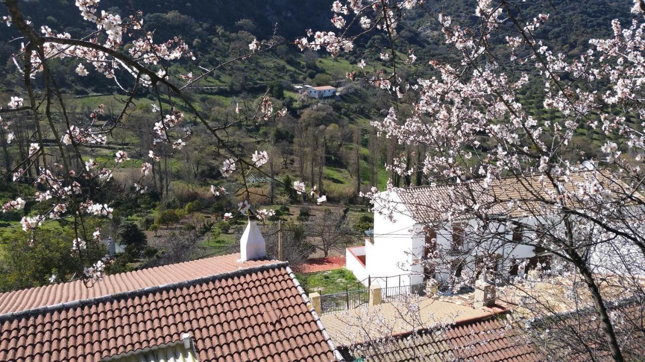 Benamahoma Rural Apartment Bagian luar foto